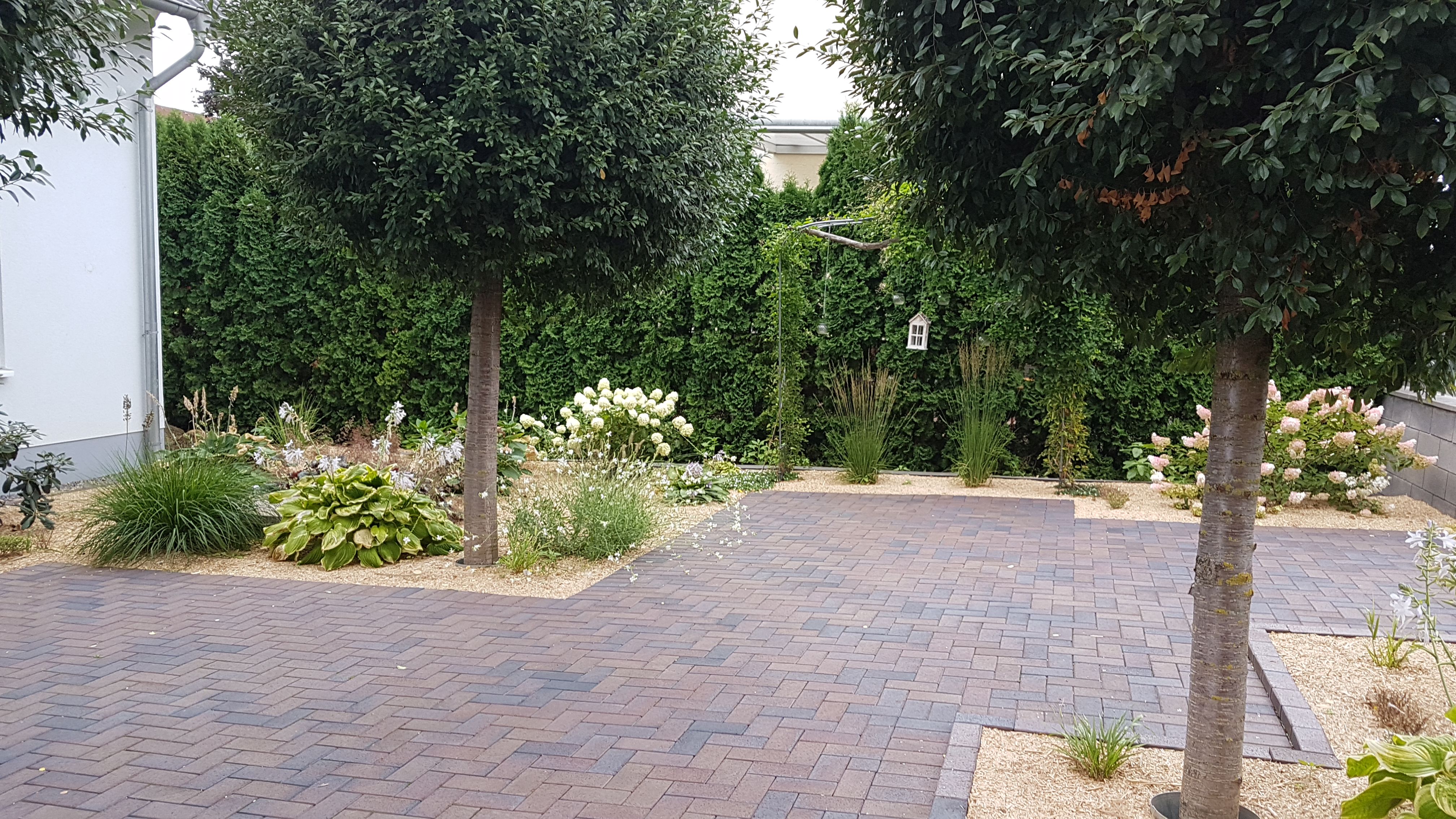 IMG-20190817-WA0007