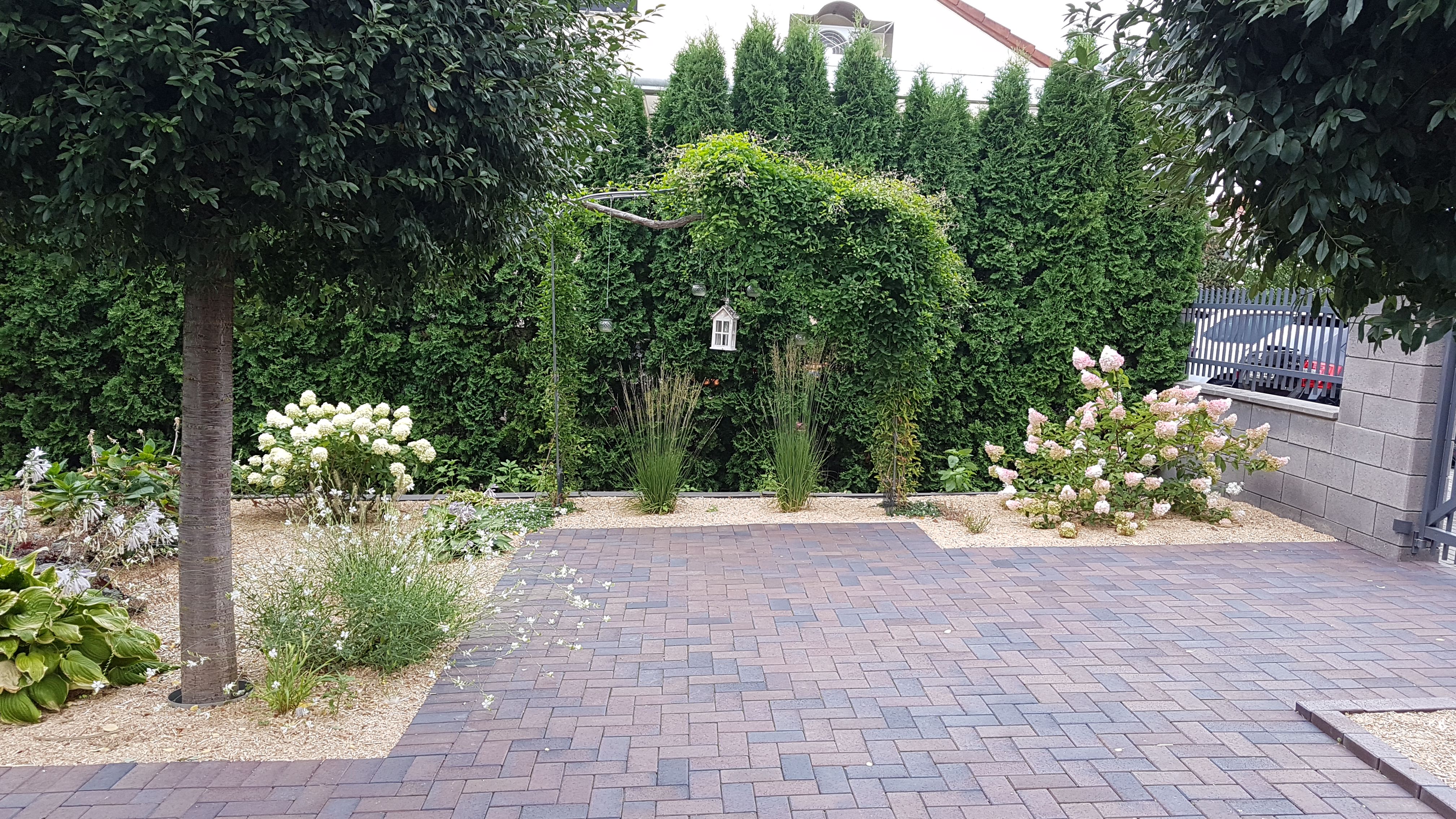 IMG-20190817-WA0009