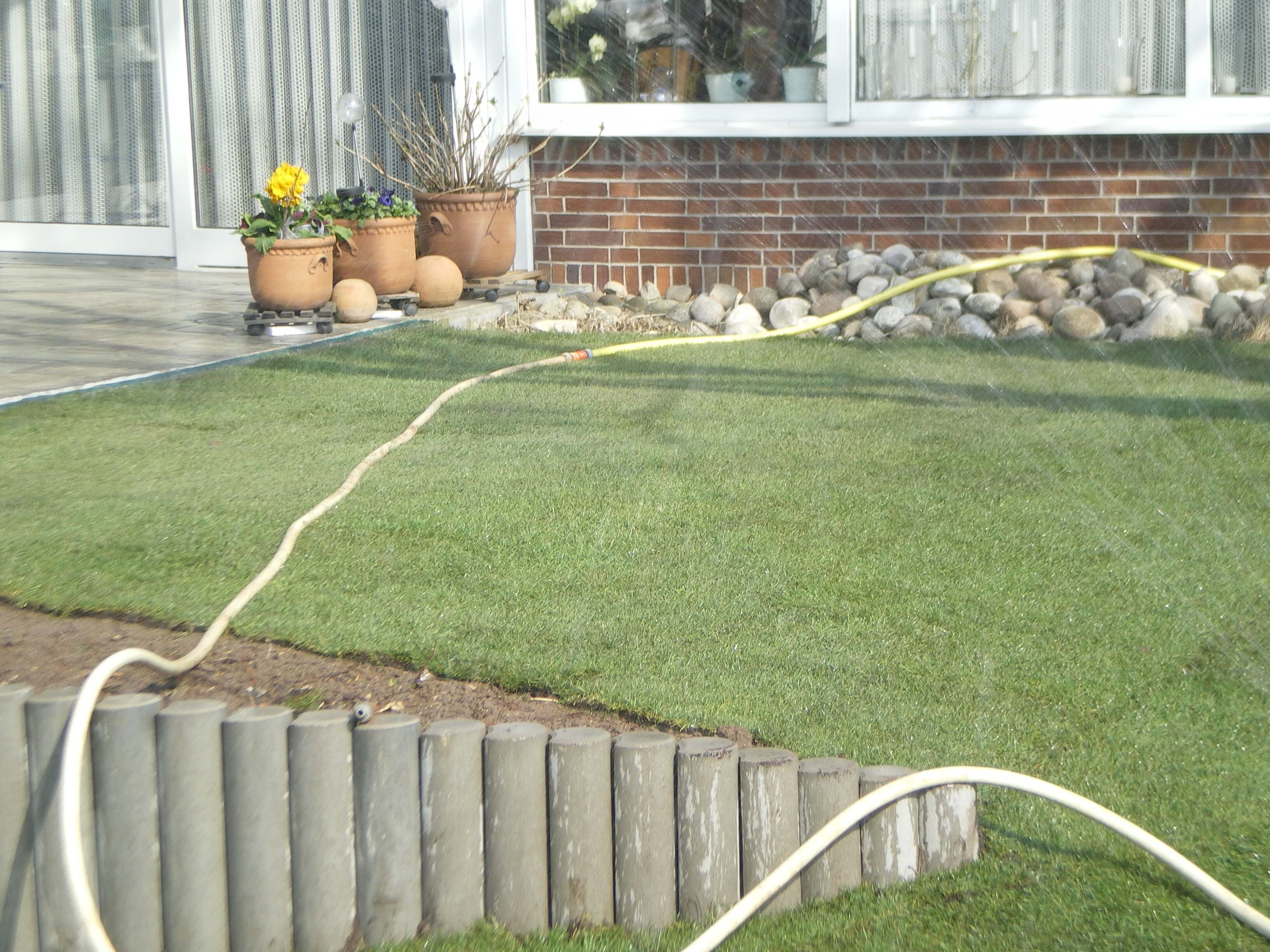 Betonzaun-rollrasen-1