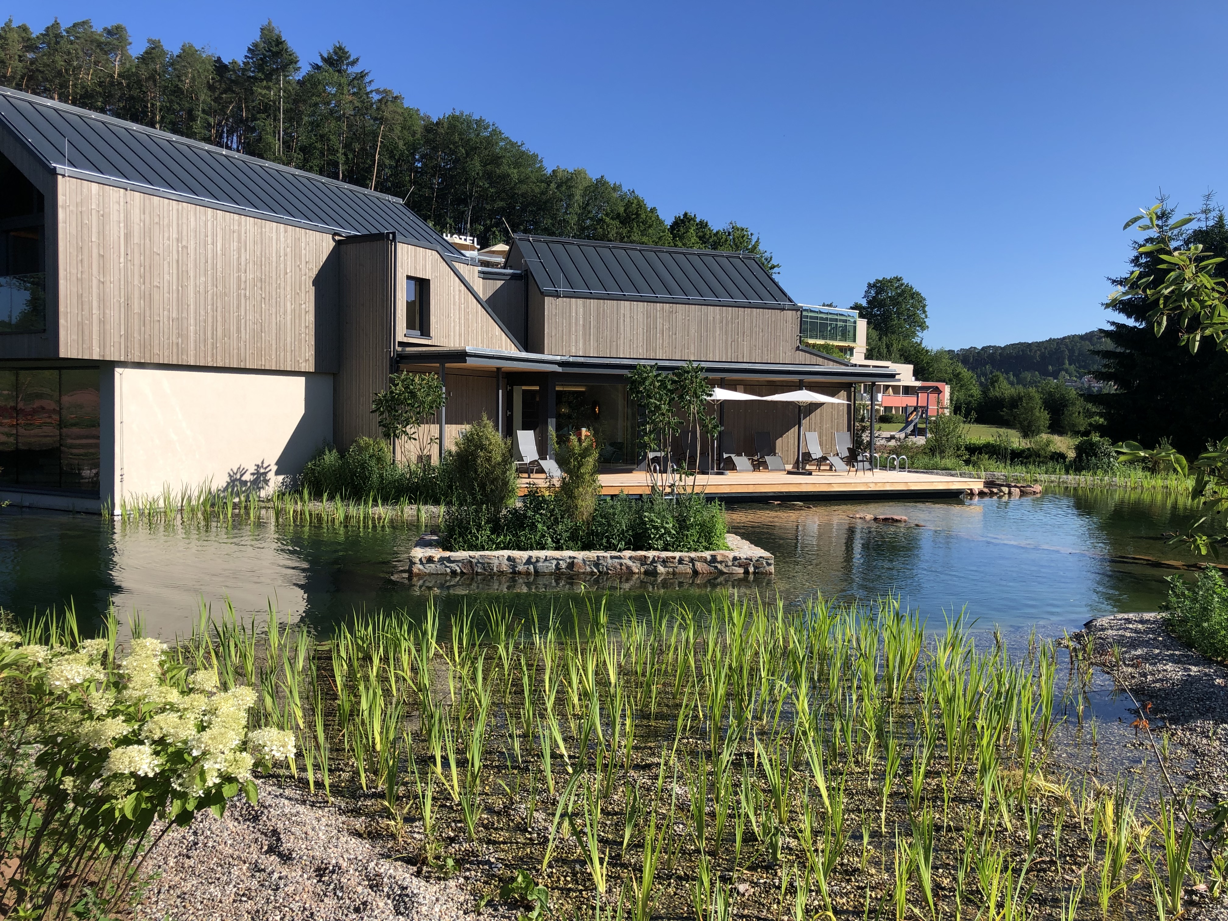 Teichbau und Schwimmteiche