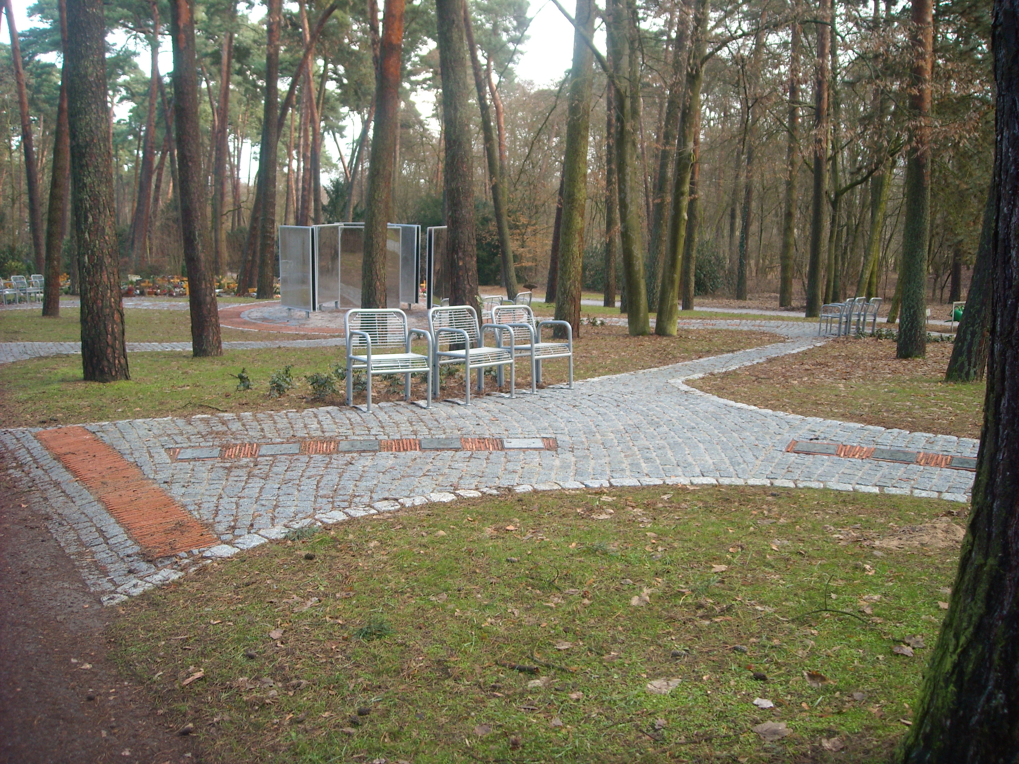 DSCN2708